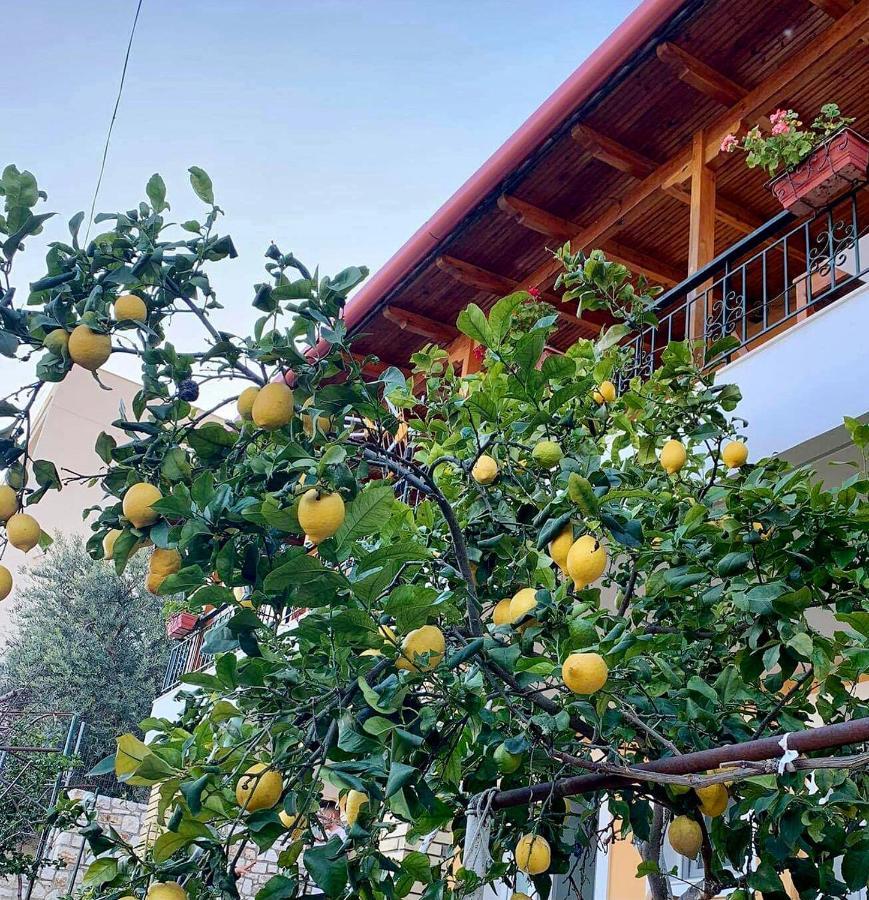 הימארה Tzavelitiko Home מראה חיצוני תמונה