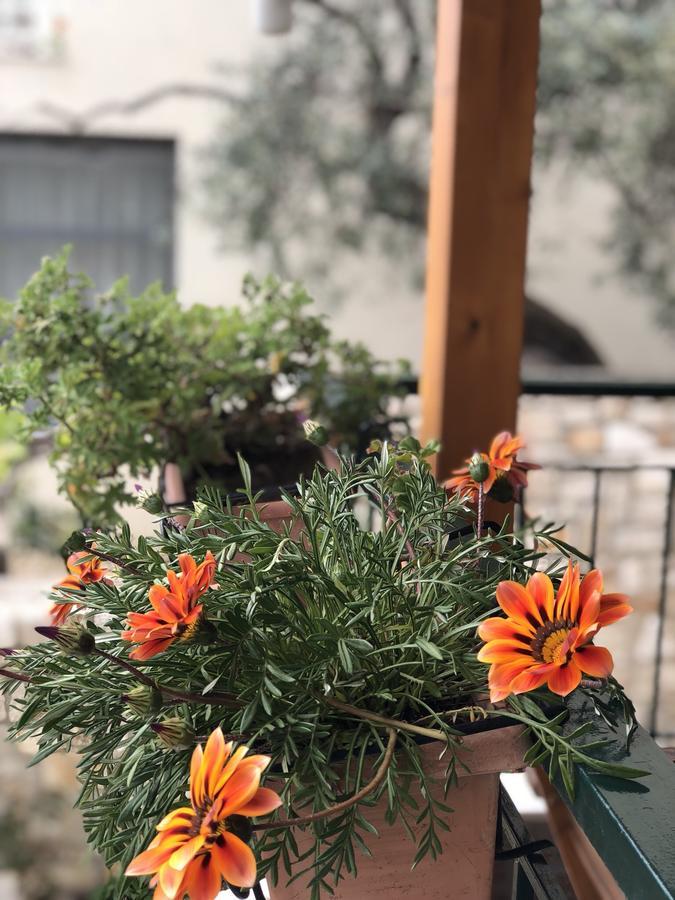 הימארה Tzavelitiko Home מראה חיצוני תמונה