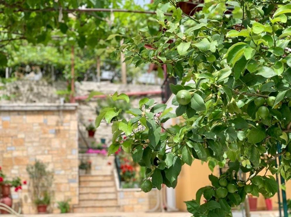 הימארה Tzavelitiko Home מראה חיצוני תמונה